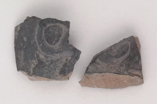 Vase fragment