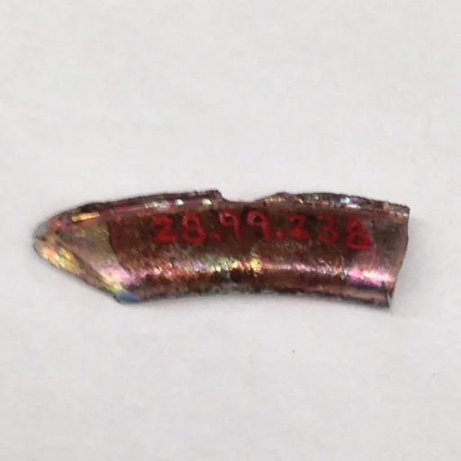 Fragment
