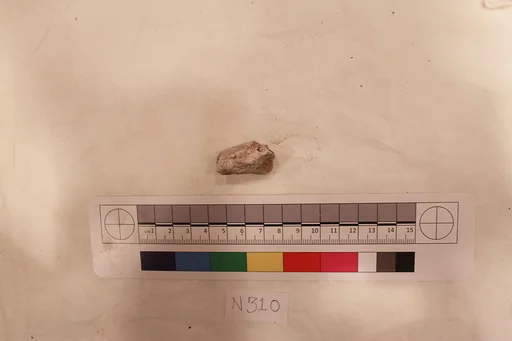 Stucco Fragment