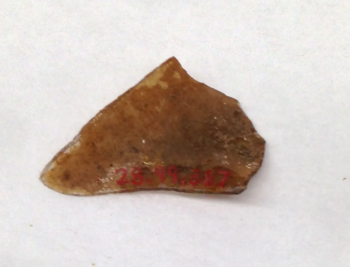 Fragment — Unknown