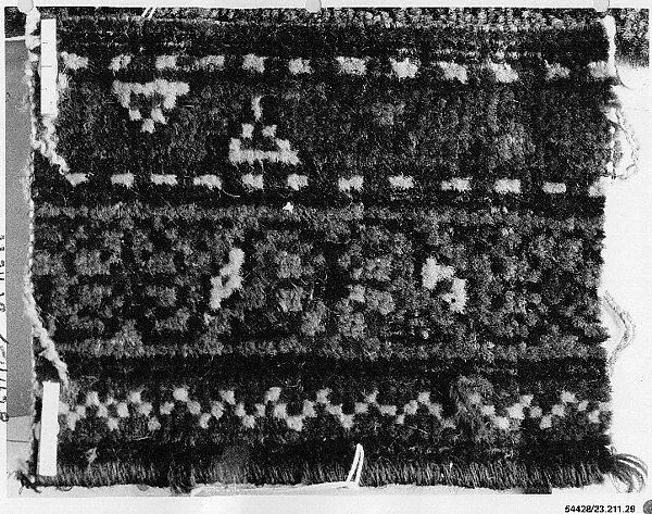 Carpet Fragment — Unknown