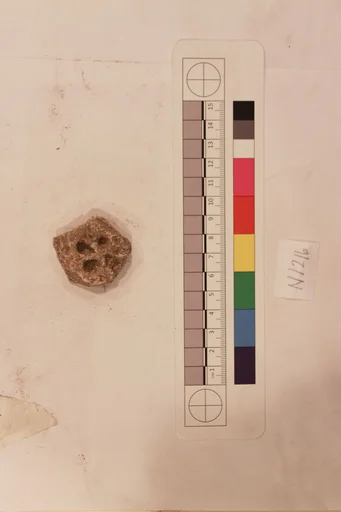 Stucco Fragment