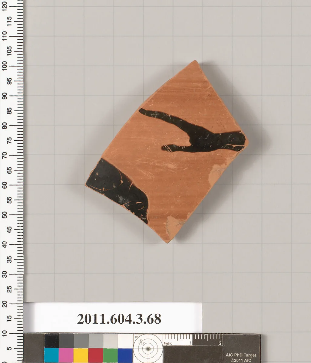 Terracotta fragment of an amphora (jar) — Unknown