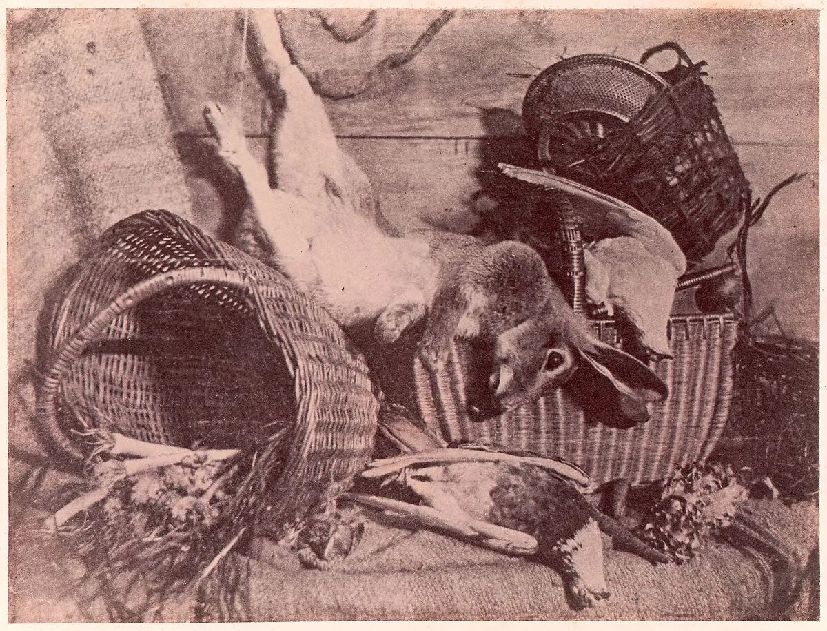 Nature morte au lièvre — Unknown|Imprimerie photographique de Blanquart-Évrard, à Lille