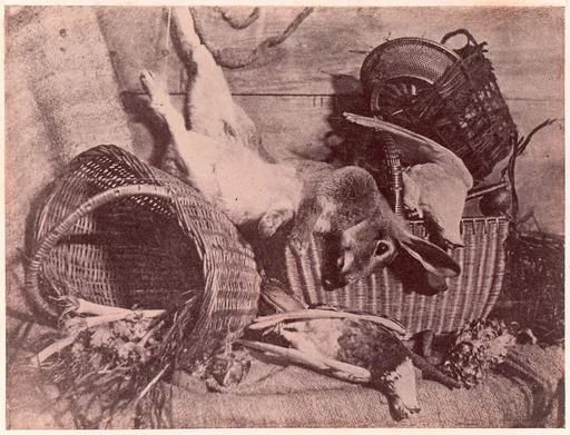 Nature morte au lièvre