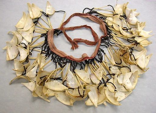 Woman's Shell and Beaded Skirt