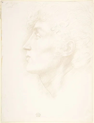 Head of an Irish Girl