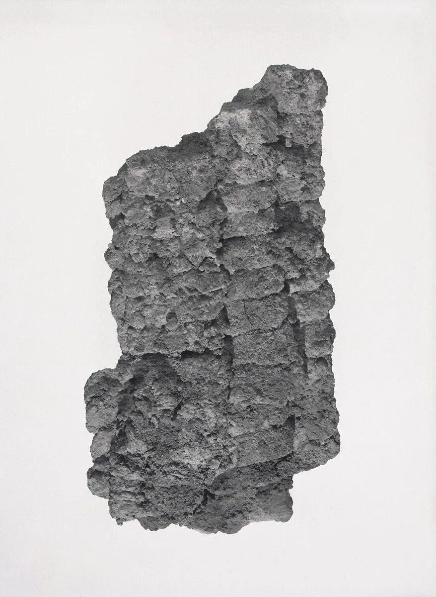 Armor scales — Unknown