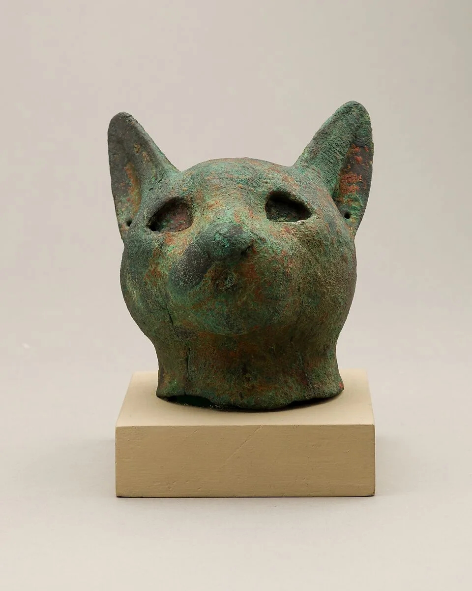 Head of a cat — Unknown