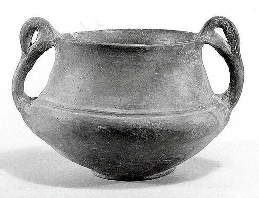 Bowl with handles