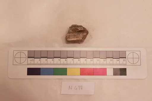 Stucco Fragment