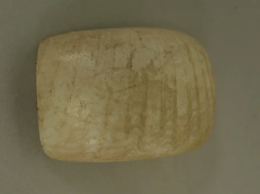 Shell Pendant or Bead