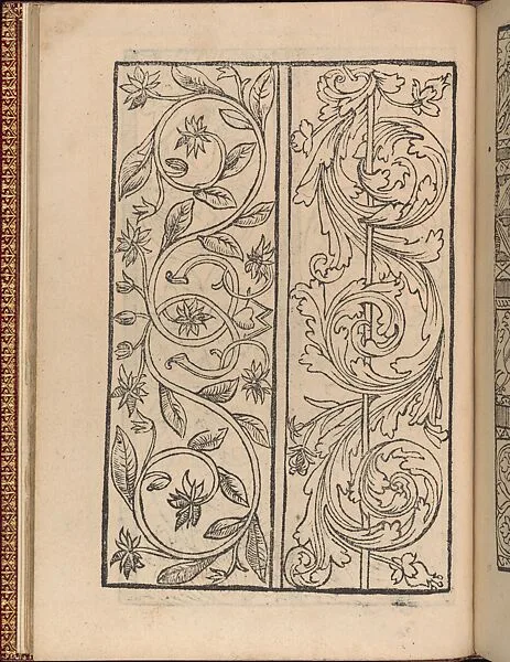 Modelbuch new, aller Art, Nehens und Stickens (page 12v) — Hermann Gülfferich|Riviere & Son(s)
