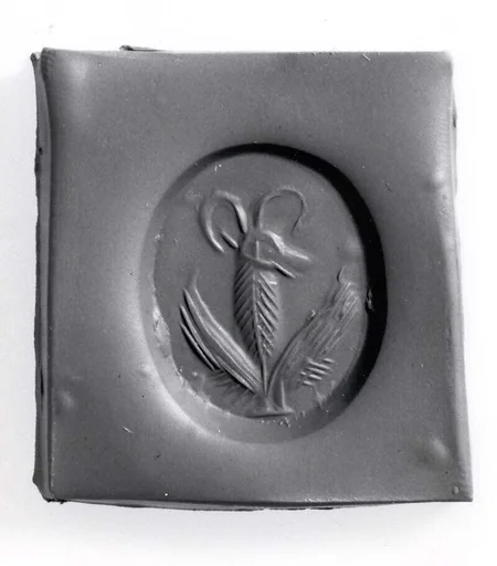 Stamp seal