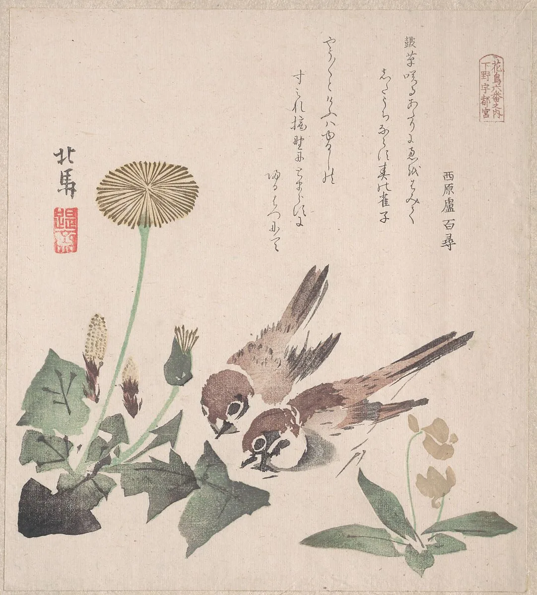 摺物帖 『春雨集』 『花鳥六番之内 下野宇都宮』 タンポポに雀|Spring Rain Collection (Harusame shū), vol. 3: Sparrows and Dandelions — Teisai Hokuba