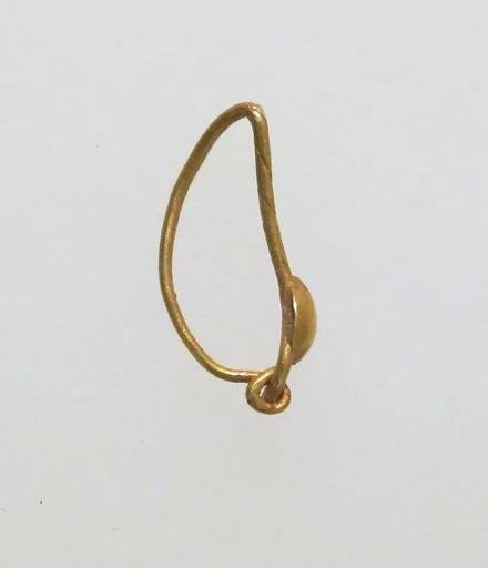 Earring with disc