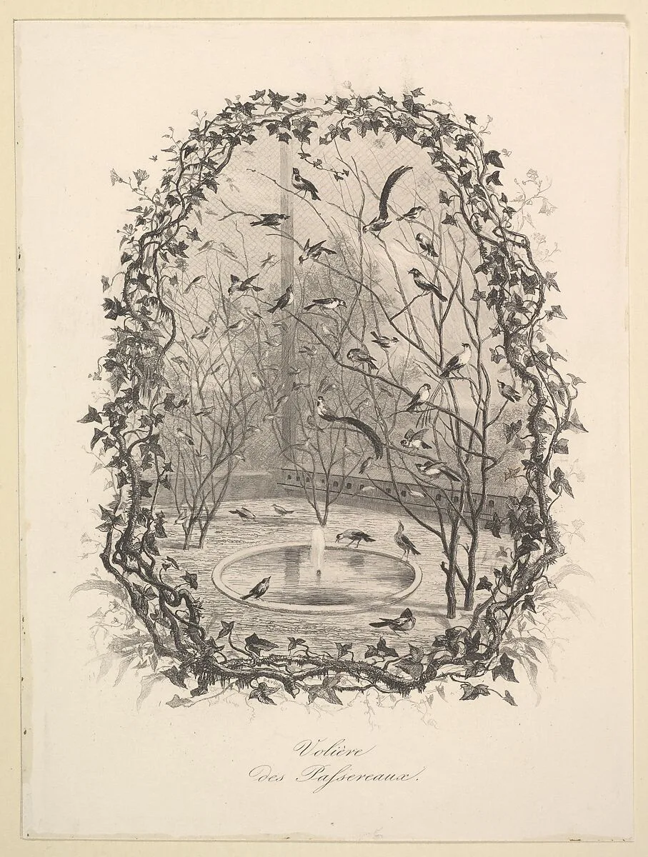 The Sparrow Aviary — Charles-François Daubigny