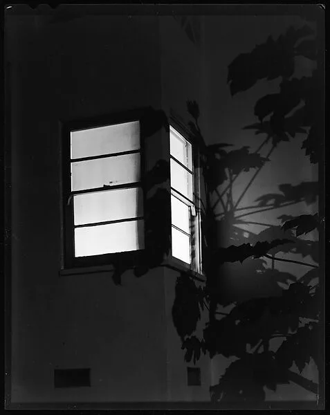 LA-C 33 — James Welling