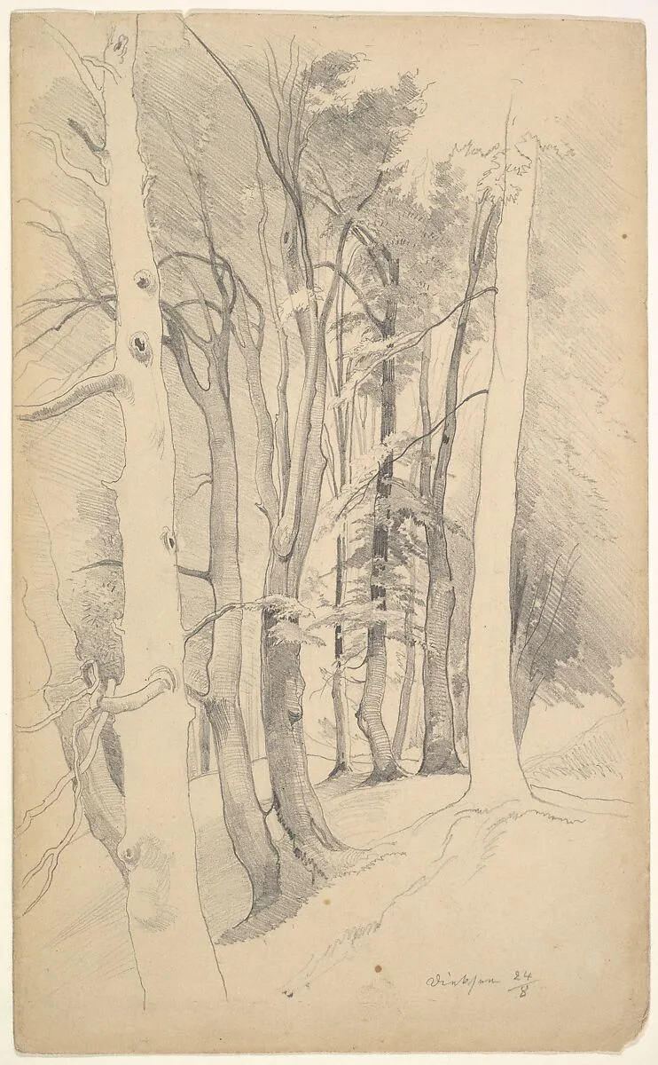 Trees near Diessen — Carl Maria Nicolaus Hummel