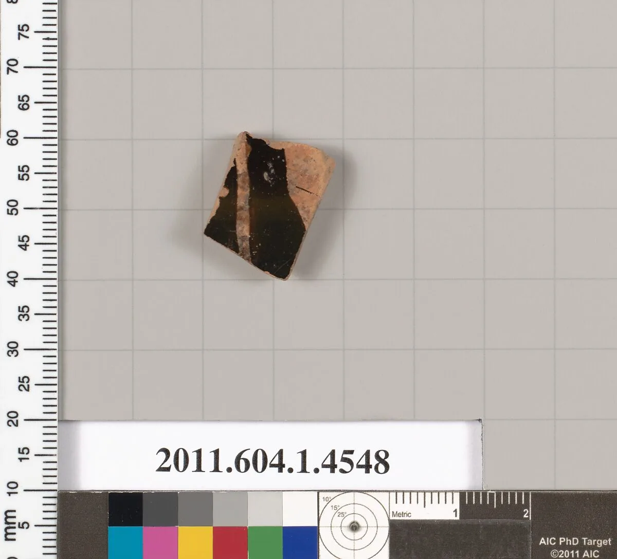 Terracotta fragment of a kylix (drinking cup) — Unknown