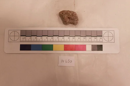 Stucco Fragment
