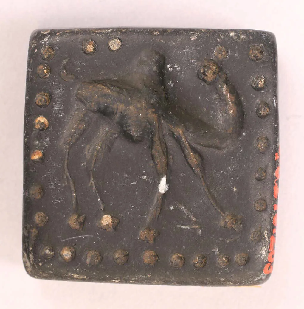 Seal — Unknown