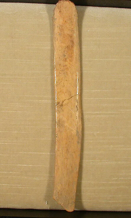 Spatula — Unknown