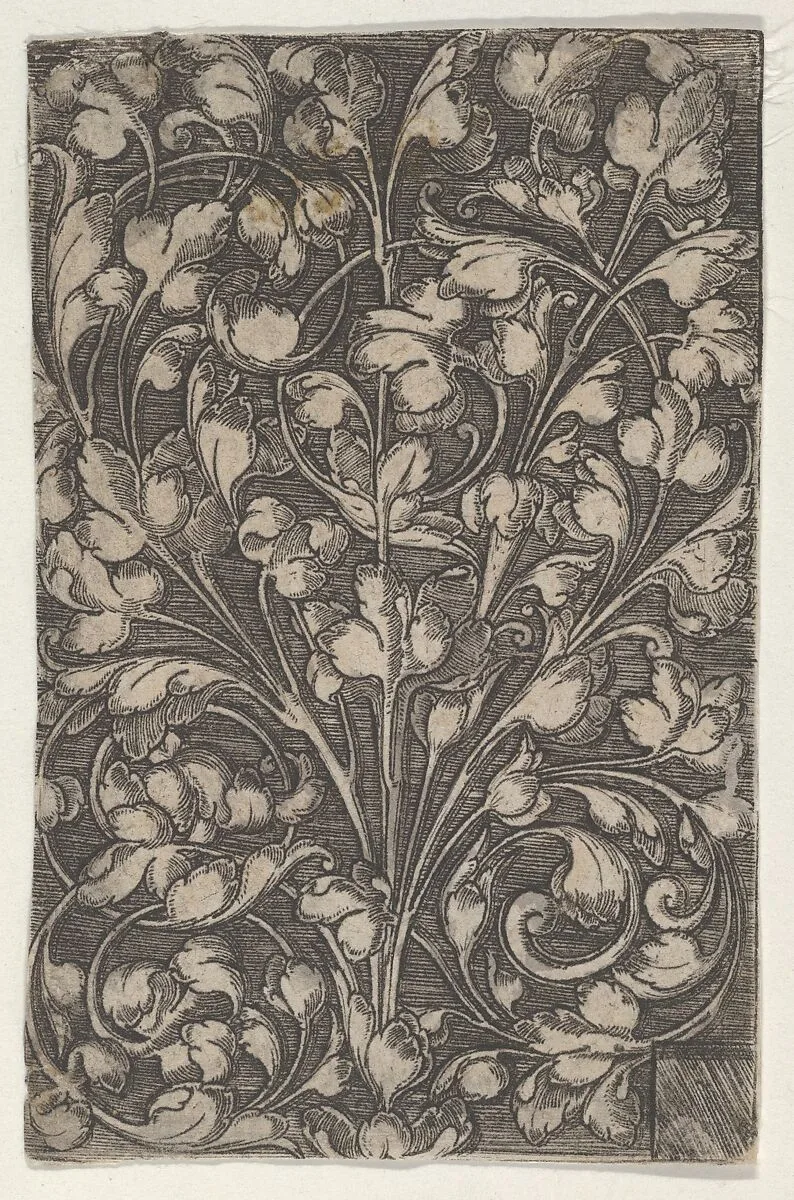 Vertical Panel with Scrolling Tendrils Rising from Center — Heinrich Aldegrever