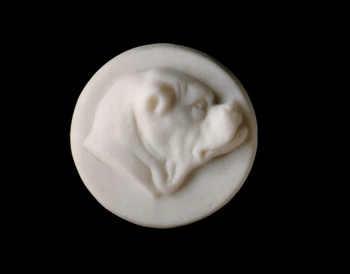 Sleeve Button