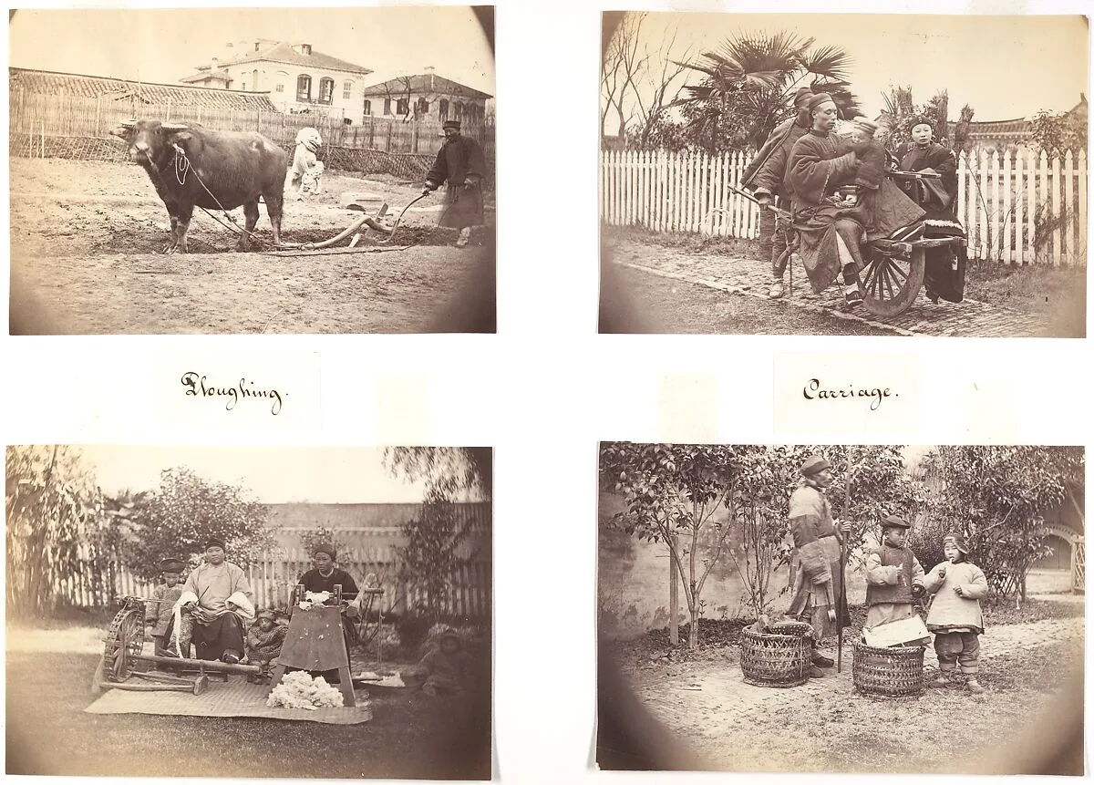 Ploughing; Carriage; Cotton Spinning; Selling Sweets — John Thomson