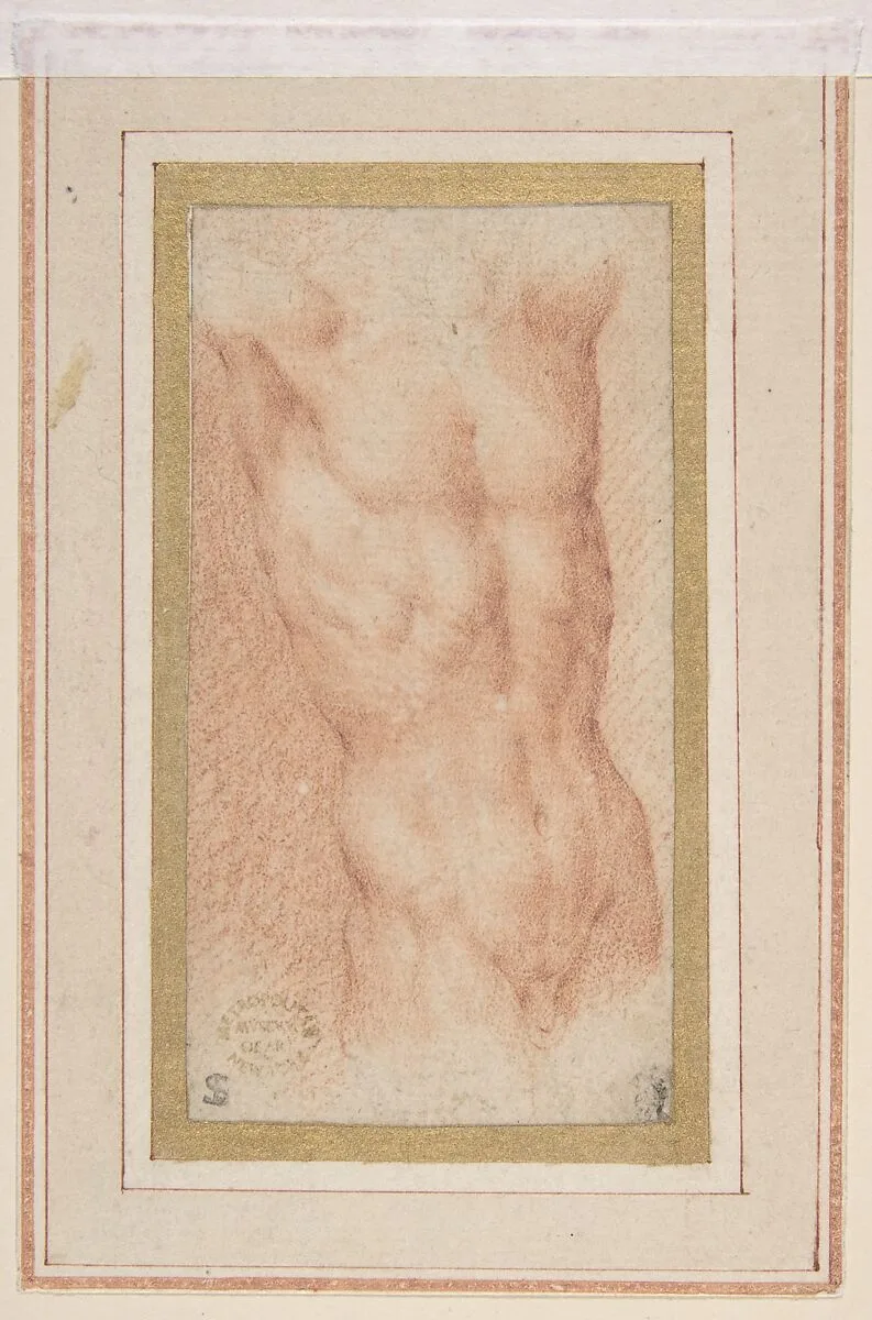 Male Nude Torso with Raised Arms — Parmigianino (Girolamo Francesco Maria Mazzola)