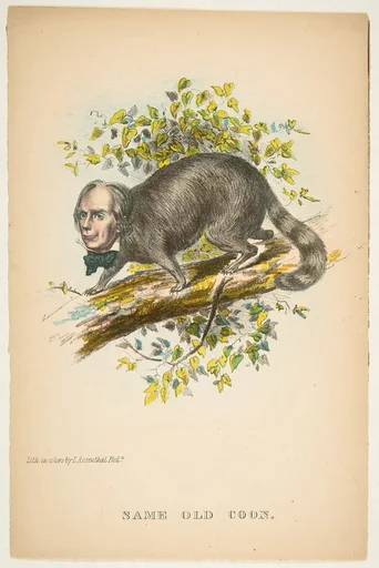 Same Old Coon (Henry Clay), from The Comic Natural History of the Human Race