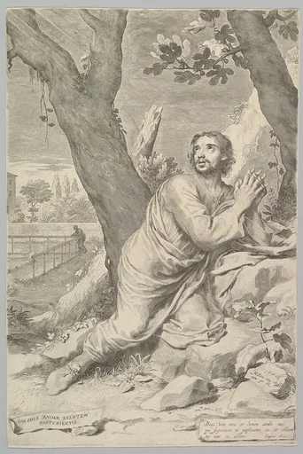 St. Augustine