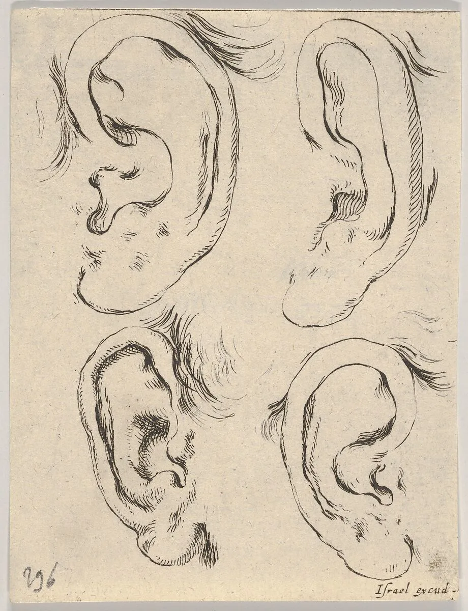 Plate 5: four ears, from 'The Book for Learning to Draw' (Livre pour apprendre à dessiner) — Stefano della Bella|Israël Henriet