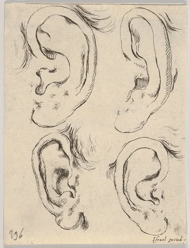 Plate 5: four ears, from 'The Book for Learning to Draw' (Livre pour apprendre à dessiner)