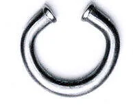 Nose Ornament
