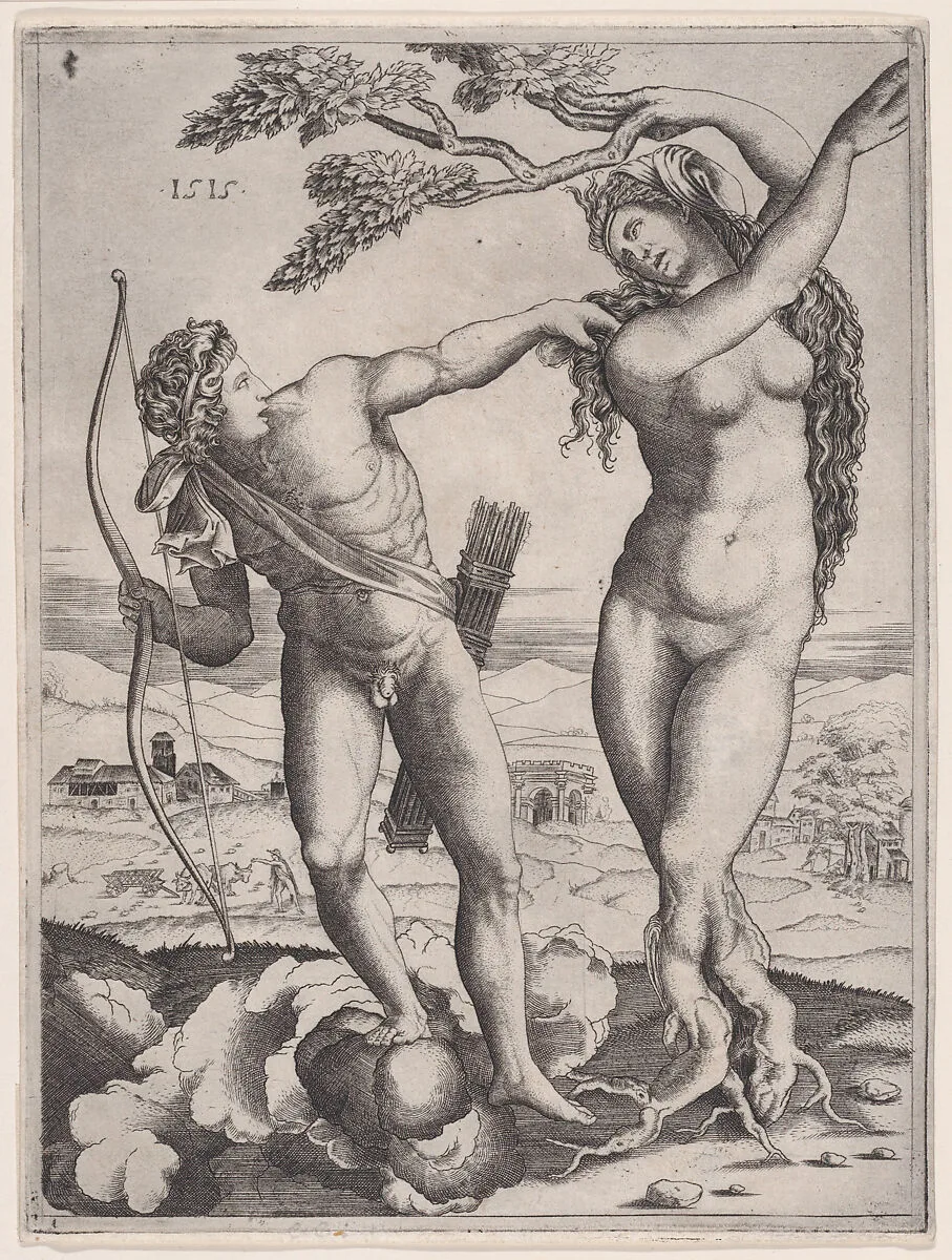 Apollo and Daphne — Agostino Veneziano (Agostino dei Musi)|Baccio Bandinelli