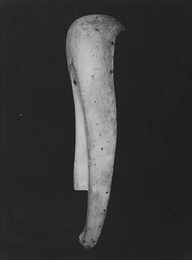 [Mask (Profile), French Congo]
