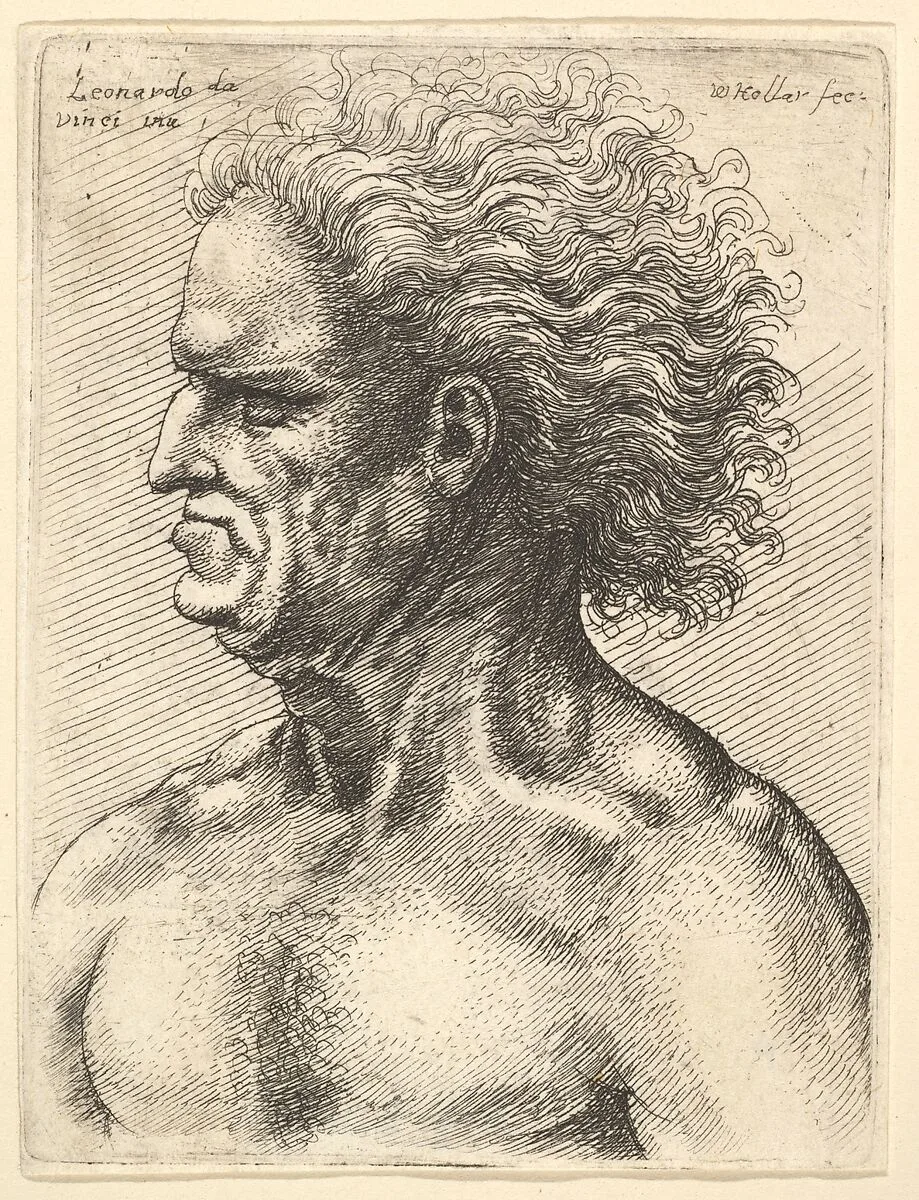 Head of a muscular old man in profile to left with flowing hair — Leonardo da Vinci|Wenceslaus Hollar