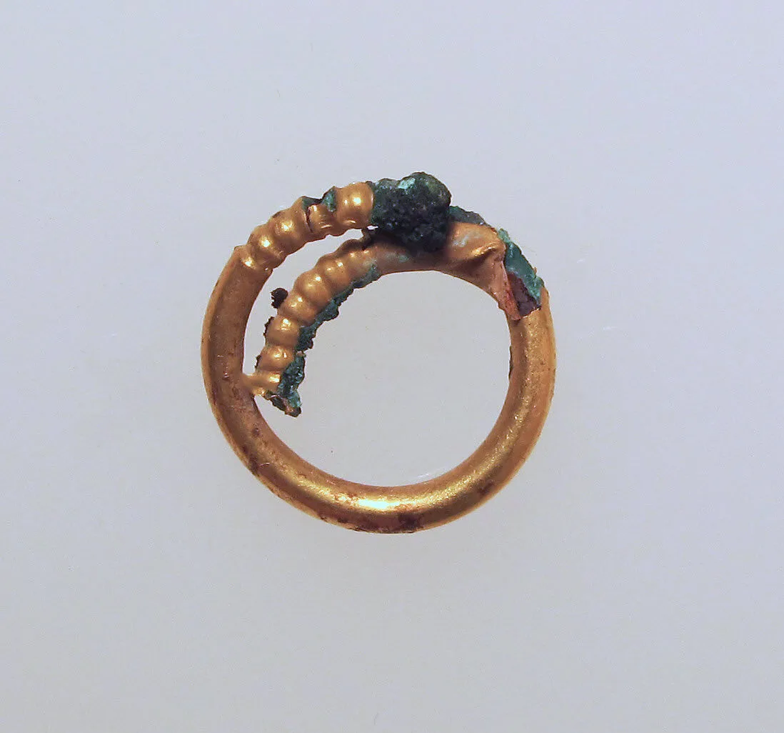 Earring or spiral — Unknown