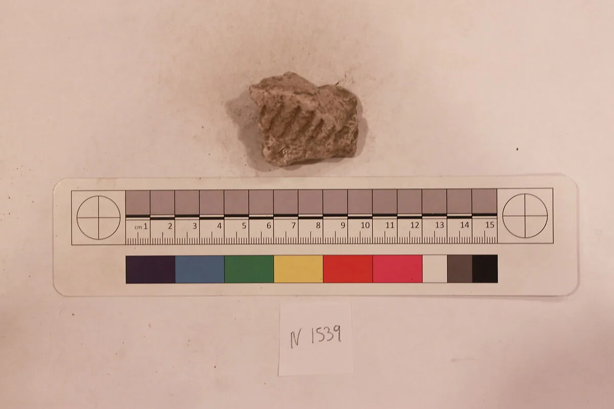Stucco Fragment — Unknown