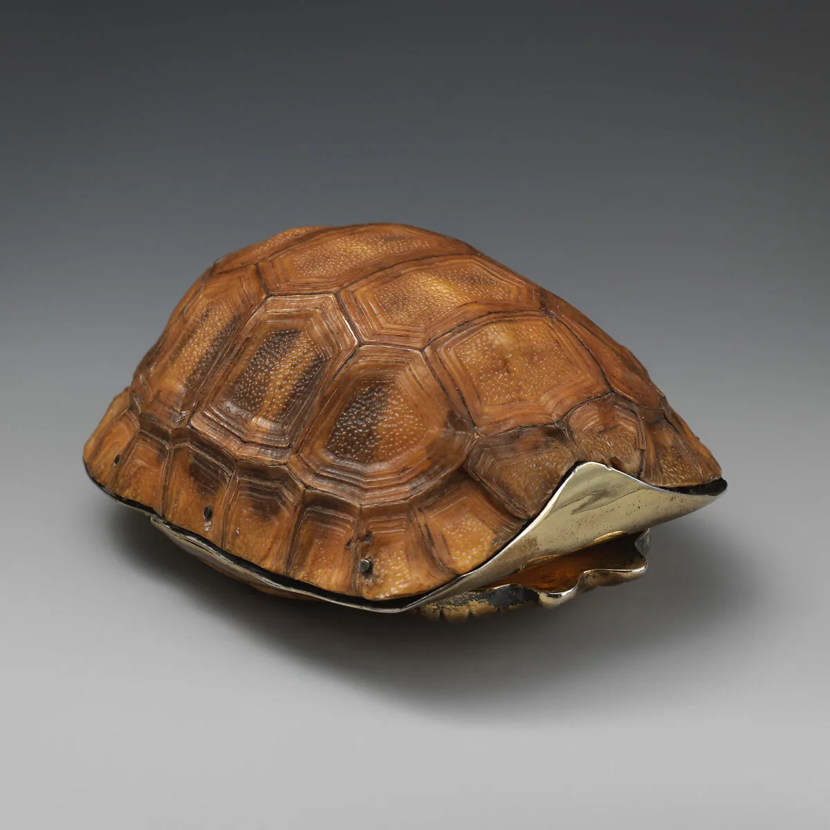 Tortoise box — Unknown