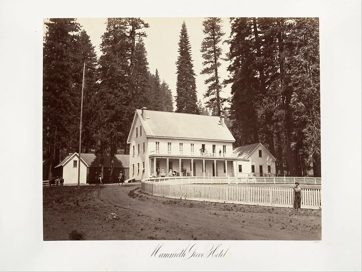 Mammoth Grove Hotel — Carleton E. Watkins