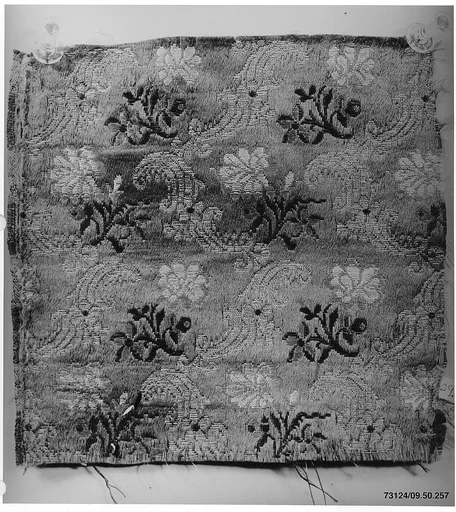 Fragment