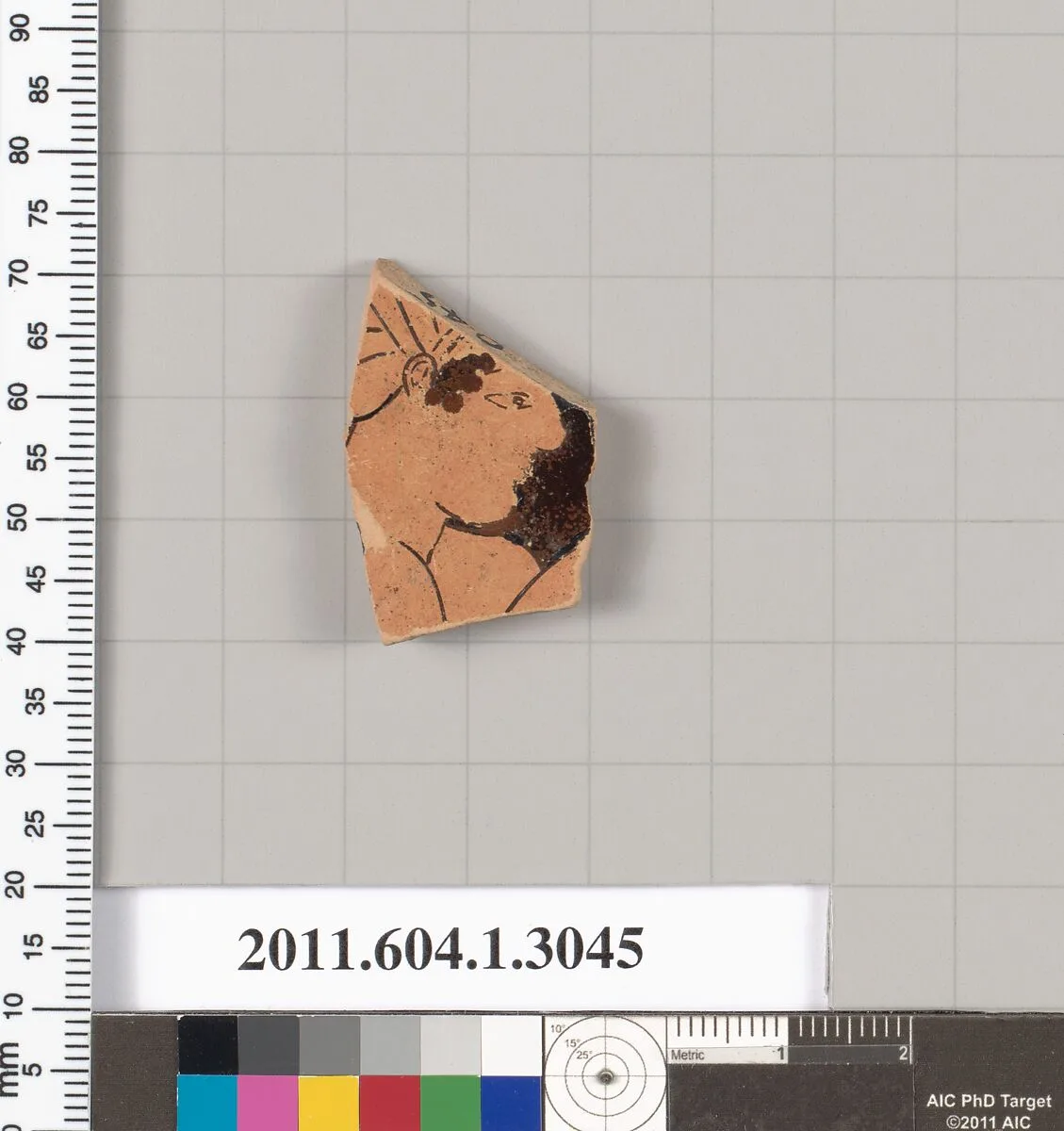 Terracotta fragment of a kylix (drinking cup) — Unknown