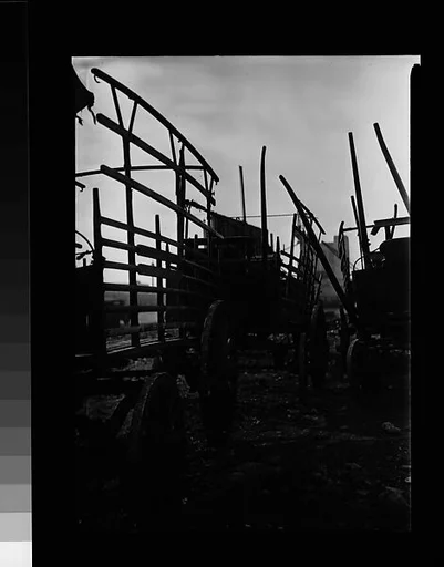 [Wagons, Old Wallabout Market, Brooklyn, New York]