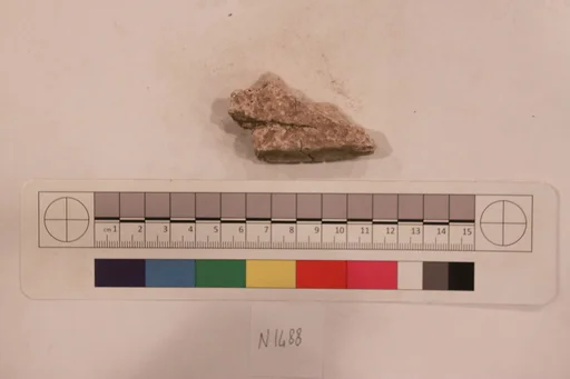 Stucco Fragment