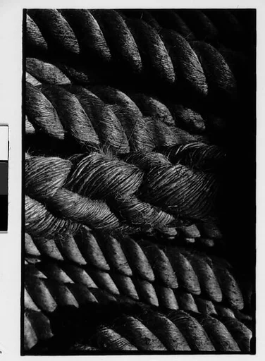 [Two 35mm Film Frames: Rope]
