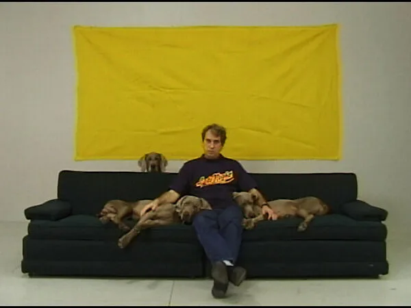 Late Night — William Wegman