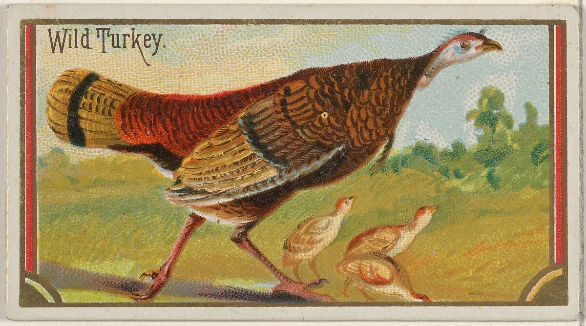 Wild Turkey, from the Game Birds series (N13) for Allen & Ginter Cigarettes Brands — George S. Harris & Sons|Allen & Ginter